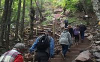 Stairs at Kaaterskill Falls